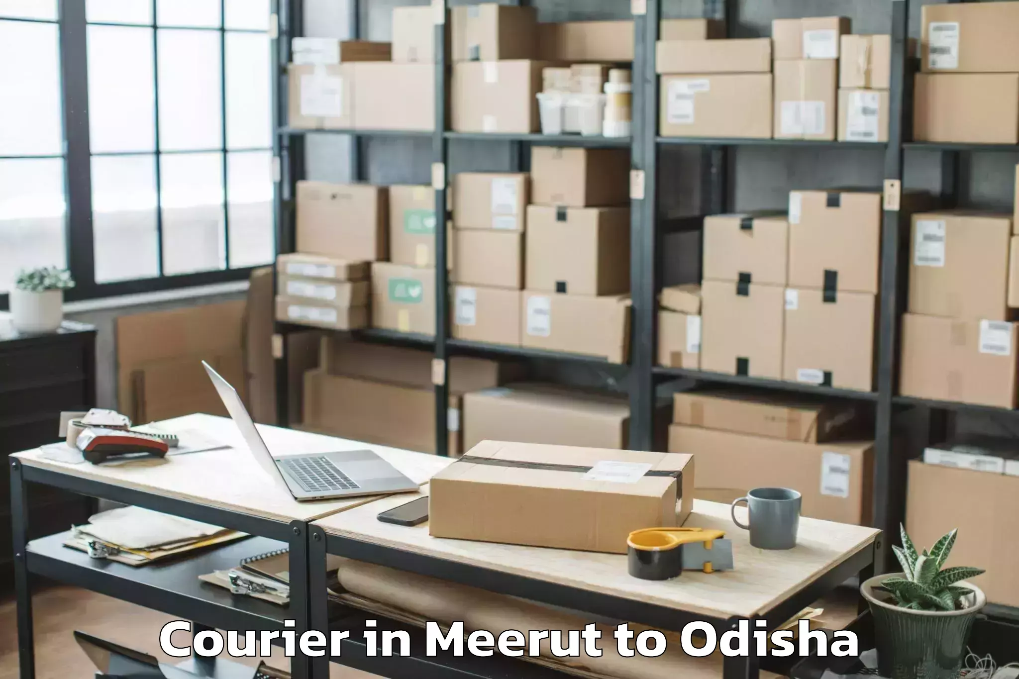 Reliable Meerut to Kundura Courier